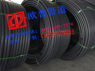 PE������